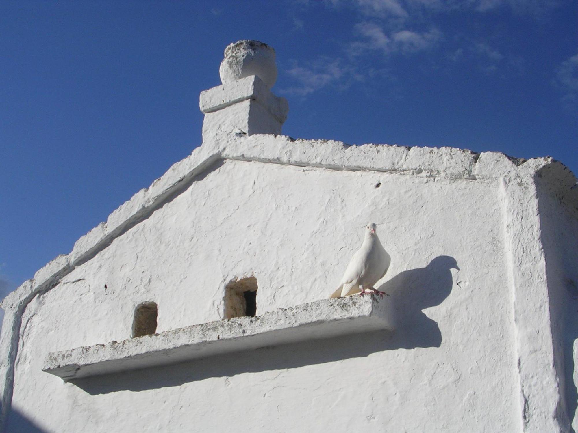 Masseria Purgatorio Фазано Екстер'єр фото