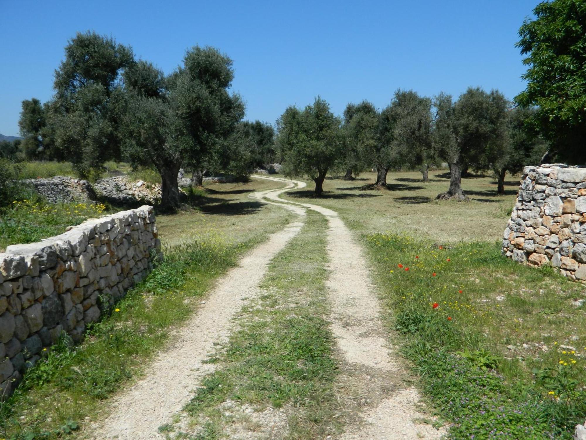 Masseria Purgatorio Фазано Екстер'єр фото